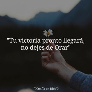 Meet your Posher, Luisa